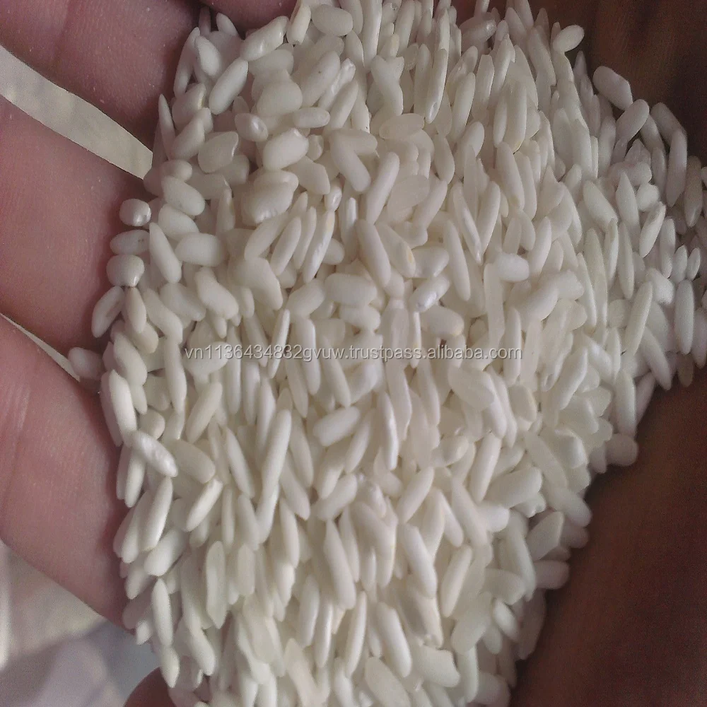 NEWEST CROP VIETNAM 10% BROKEN GLUTINOUS RICE WITH GRADE TOP