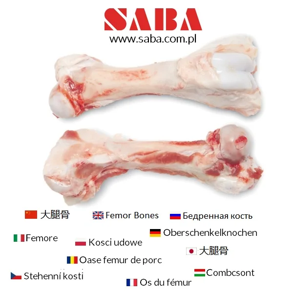 Frozen Pork Moon / Neck/ Back/ Loin/ Tail Bones from Poland