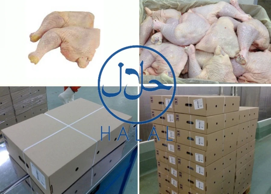 FRESH BULK HALAL FROZEN CHICKEN BREAST FILLETS FOR SALE BRAZIL ORIGIN READY FOR EXPORT