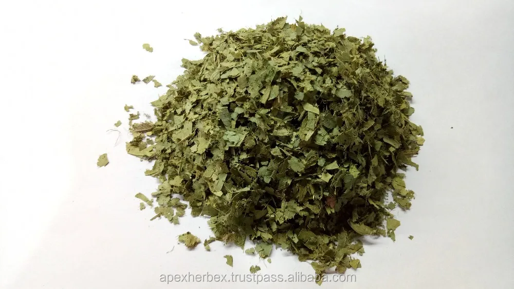 
TBC Cassia Alata LEAVES AND T CUT 