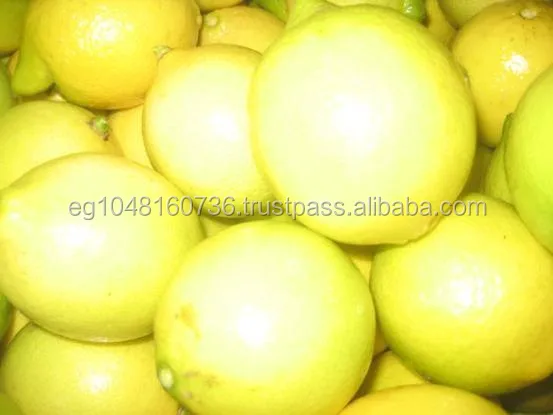 Fresh lemon Adalia