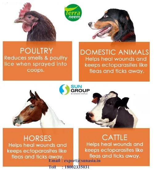 Neem Oil Pest Control natural way of cold processing method with high Azadirachtin content of minimum 3500ppm to4000 p