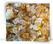 Жвачка из дерева моринга