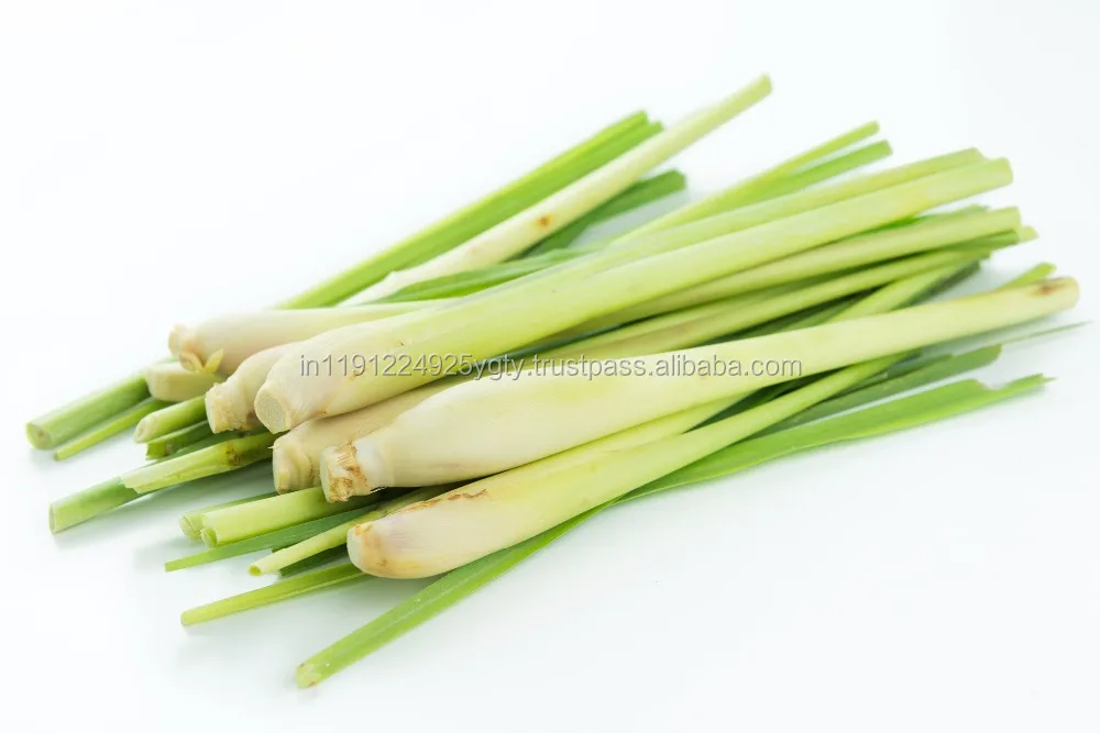 100% pure and natural lemongrass essential oil in bulk private label aromatherapy massage diffusers spa fragrances