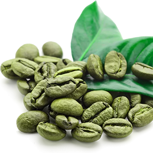 Professional Whole sale Best Quality Green Coffee Bean Arabica Cherry A