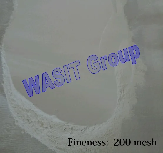 
Calcined Gypsum Plaster in Africa 