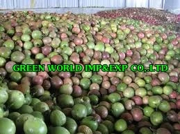 BEST PRICE OF FROZEN PASSION FRUIT FROM VIETNAM