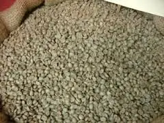 ARABICA COFFEE BEAN