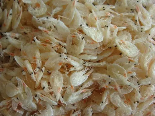Vietnam Custom Package Dried Baby Shrimp Best Quality with Long Shelf Life