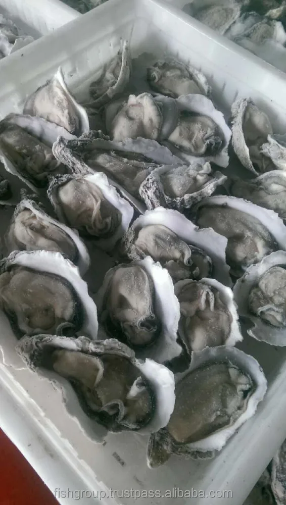  Замороженные сырые устрицы пол оправы