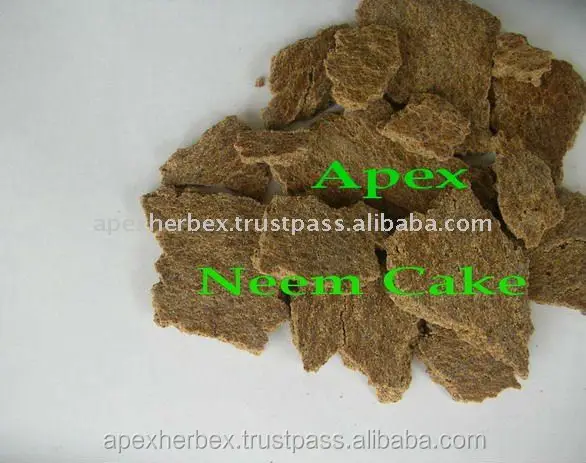 Azardirachta Indica Kernel Deoiled Cake Neem kernel Cake Powder Neem kernel Cake