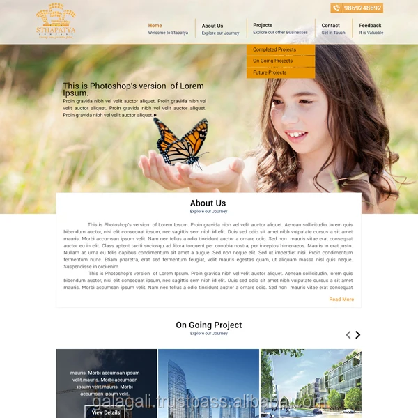 Дизайн веб-сайта онлайн-портала и служба разработки веб-сайта для строительства/недвижимости