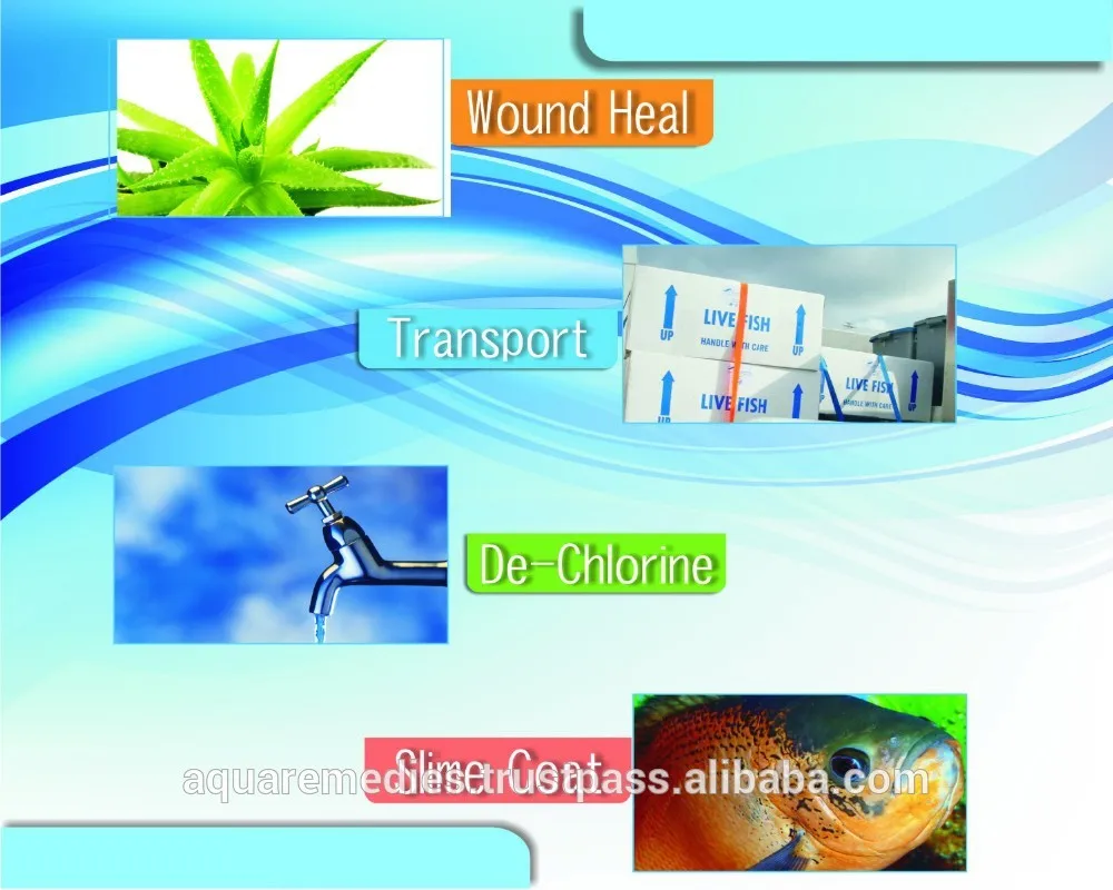 Стресс исцеление - проволочный целитель - внешний проблемы с кожей, Инфекции, Травмы