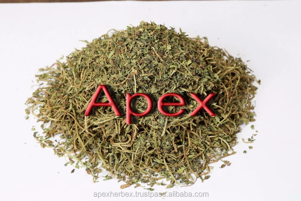 Bacopa Monnieri Bacopa Jal Brahmi Whole Plant dried Bramhi Herb