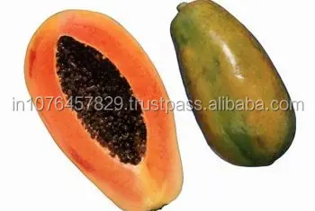 
COST OF PAPAYA SEEDS - MARUTI RED GLORY F1 