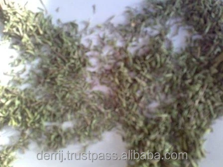 WILD THYME HERB THYM LEAVES