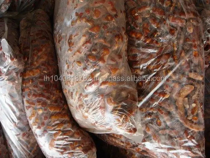 
Sour Tamarind Thailand 