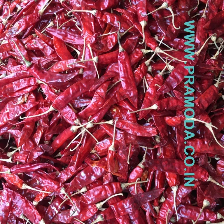 Высококачественный красный чили, оптовая продажа, покупатели сухих красных чили/импортеры красного чили