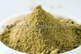 Moringa Seed Oil Extract Powder