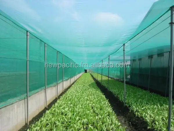 
INSECT NET, PE NET,SHADE NET,OLIVE COLLECT NET 