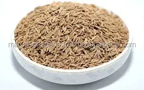 CUMIN SEEDS FOR SOWING FROM INDIA