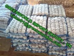 GARLIC WITH HIGH QUALITY AND CHEAP PRICE IN THE MAIN SEASON