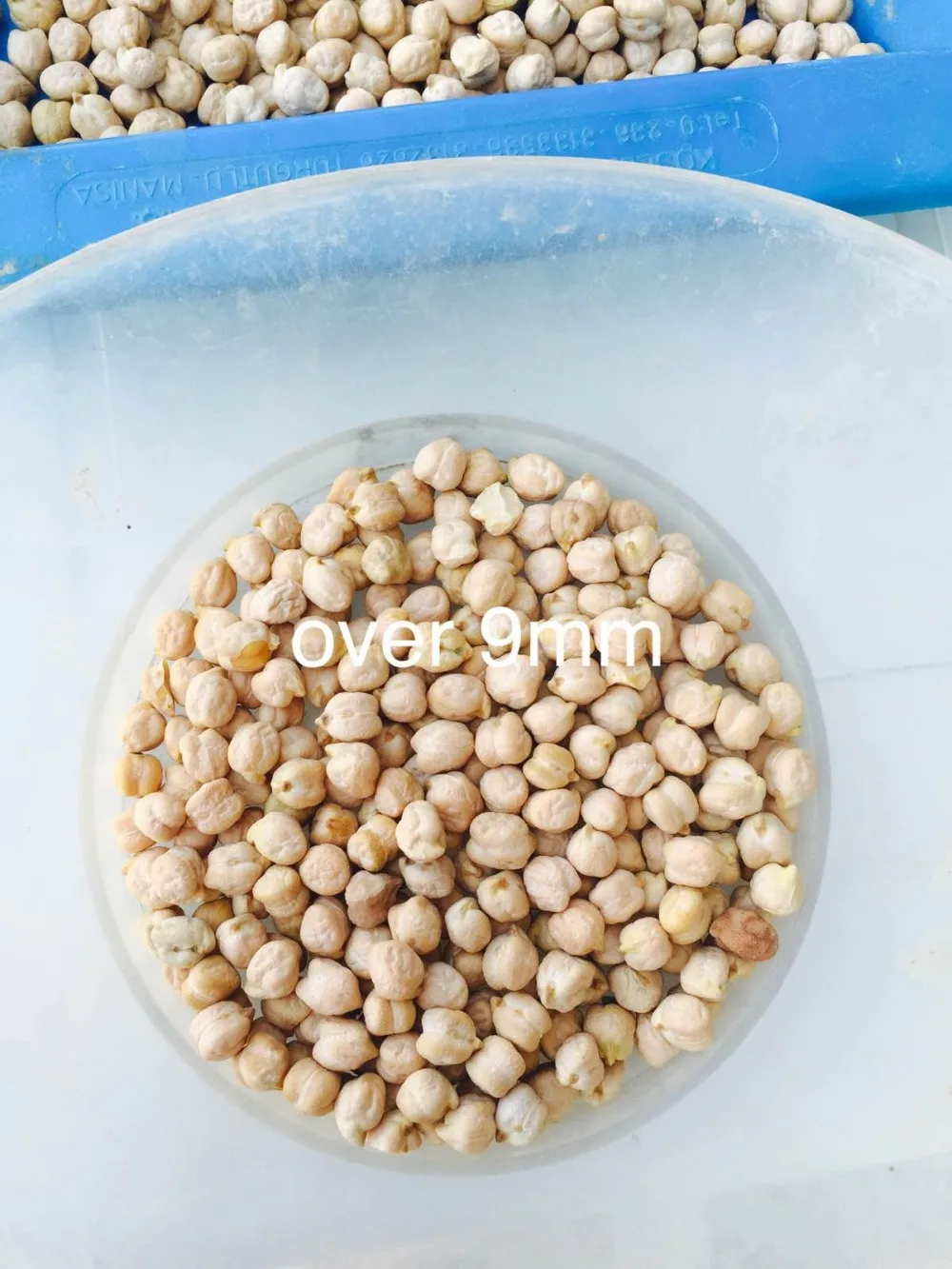 
chickpeas 7mm 8mm 9mm 10mm 