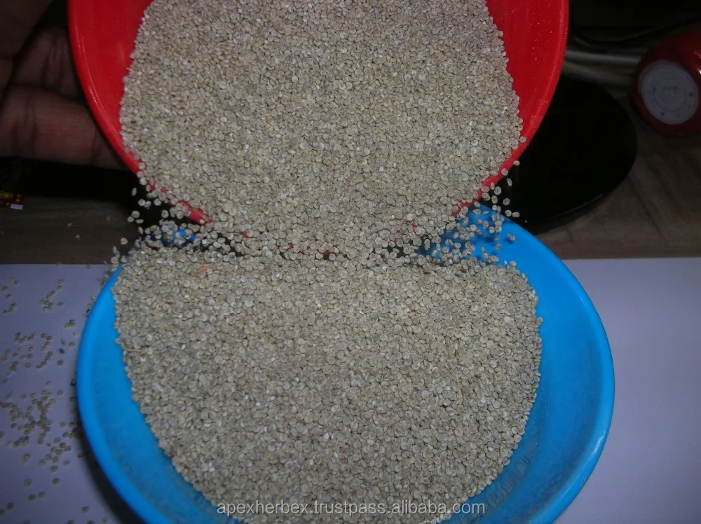 Quinoa  Chenopodium quinoa high quality cleaned Organic
