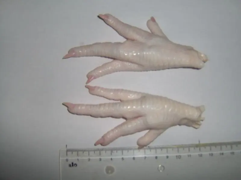HALAL PROCESSED CERTIFIED FROZEN CHICKEN FEET & PAWS FROM MANUFACTURER