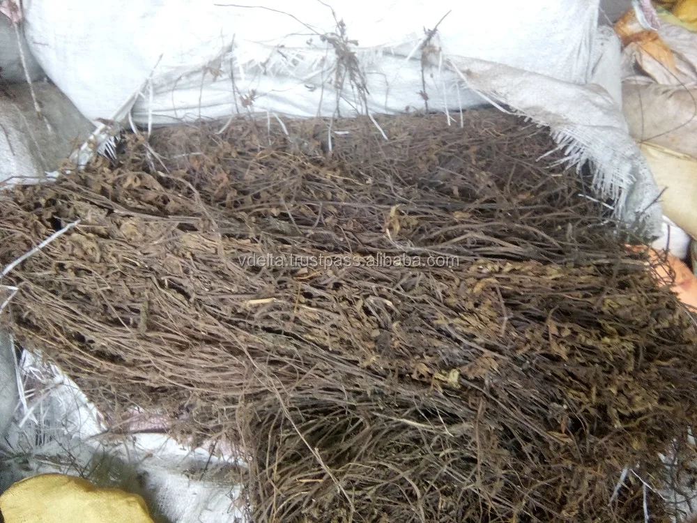 Mesona procumbens листья желе из сушеной травы-Ms Кэти