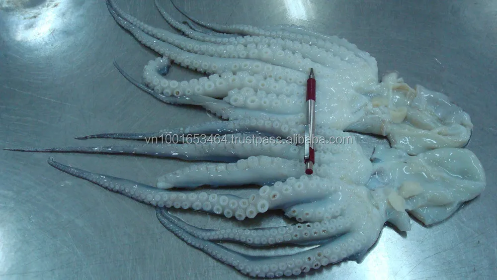 
FROZEN CUT POULP SQUID ALL SIZE- BEST PRICE 