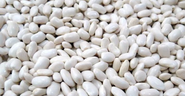 
white big beans best quality produced 