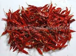Long Wrinkled Chilly from India with good quality and also having different variety of packing