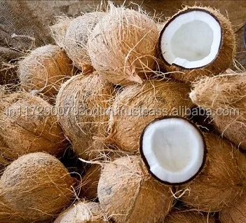 Fresh Brown Semi Husked Coconuts for Export Vietnam Malaysia Singapore