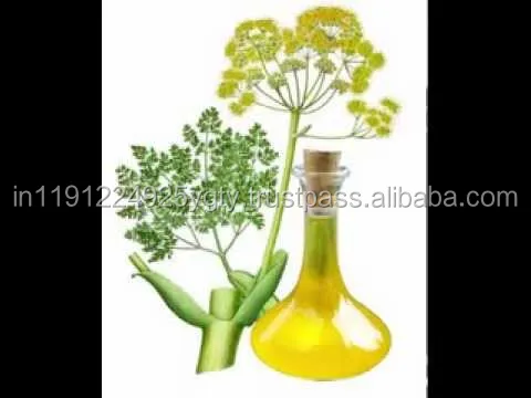 100% Pure Galbanum Essential Oil At Wholesale Price From India