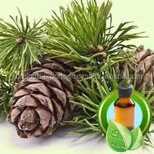 GMP ISO USDA Organic Certified Wholesaler of Organic Cedarwood Oil