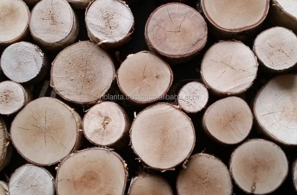 RUSSIAN Timber Log / Sawlogs /Wood round logs lumber /PINE SPRUCE