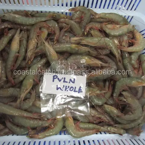 FROZEN HOSO POOVALAN SHRIMPS