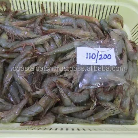 FROZEN HOSO POOVALAN SHRIMPS