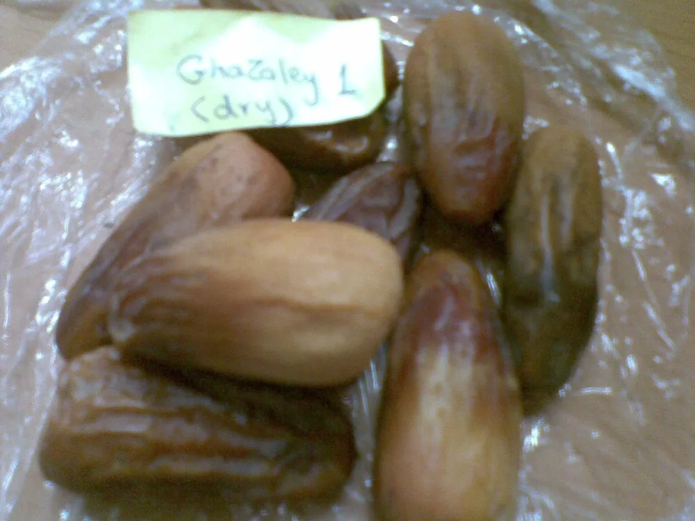 
egyptian dry and smi dry dates 