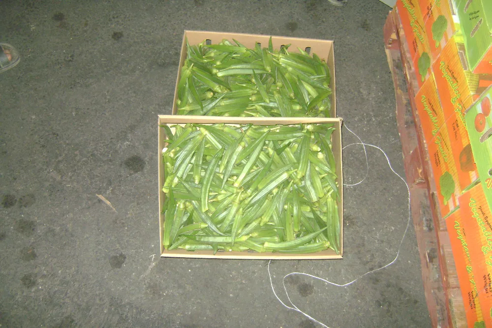 
Fresh organic okra 