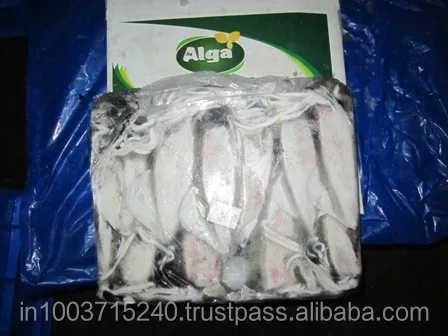 
Squid whole and Squid whole cleaned, IQF and Block frozen 