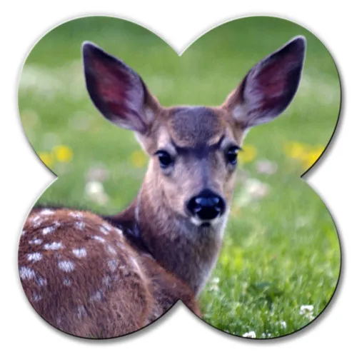 
Aluminium Sheet Metal Photo Panel for Heat Transfer 