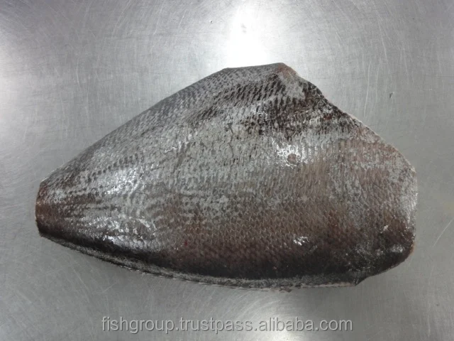 High Quality fish or Brama HG