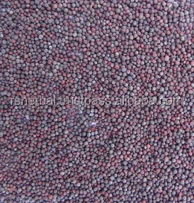 
Yellow mustard seed 2021 