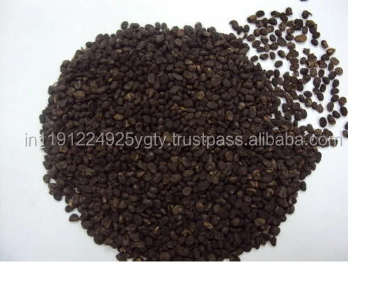 100% Pure Natural Psoralea Corylifolia Essential Oil, Babchi Oil, GMP, ISO Certified