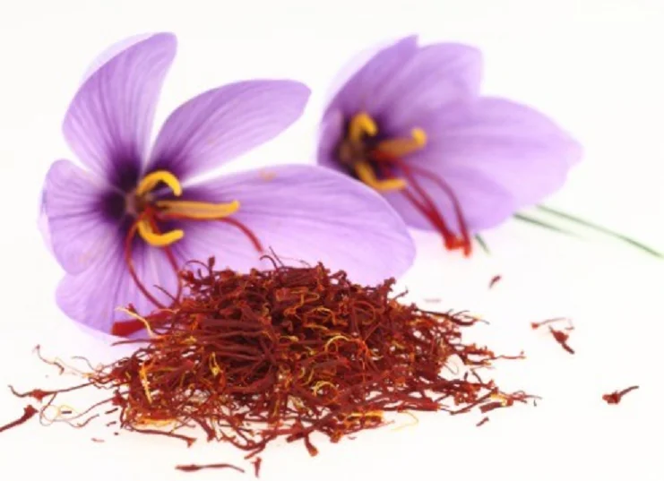 Saffron6.png