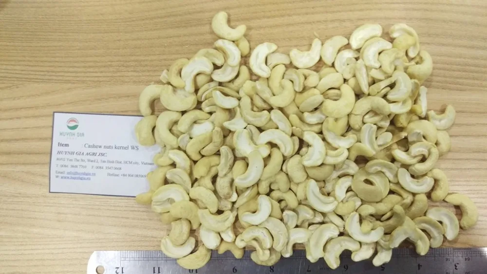 Raw Cashew Nuts WS Huynh Gia from Vietnam