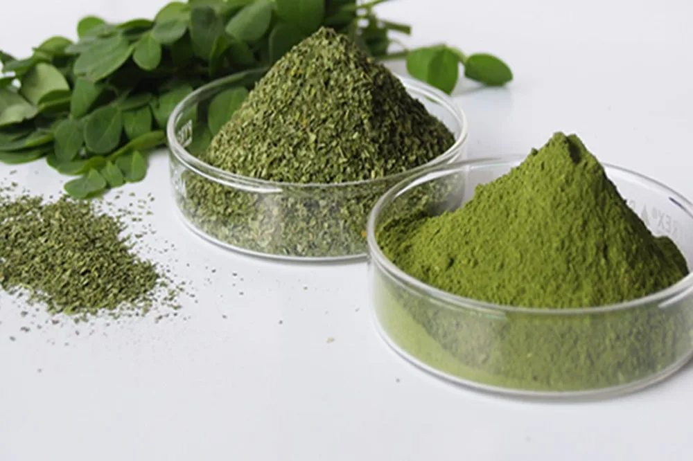 Sri Lanka supplier wholesale bulk moringa powder leaf / organic dried seed / oil / capsules / tablet / oleifera