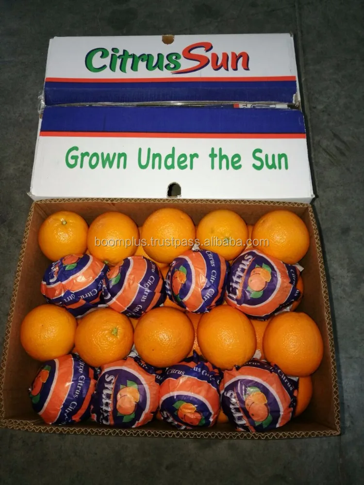 Fresh Valencia Oranges | Orange Price | Egyptian Product